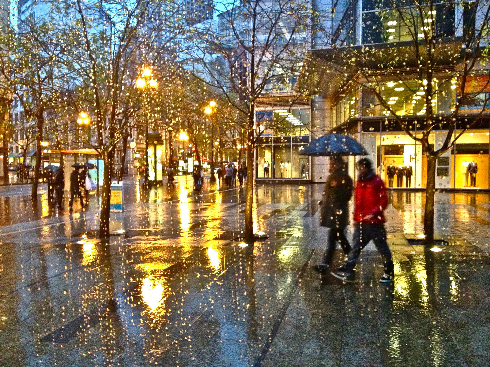 San Francisco rain sf